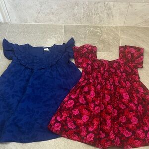 Baby GAP Navy Blue and Floral Red Kids Dresses 3t